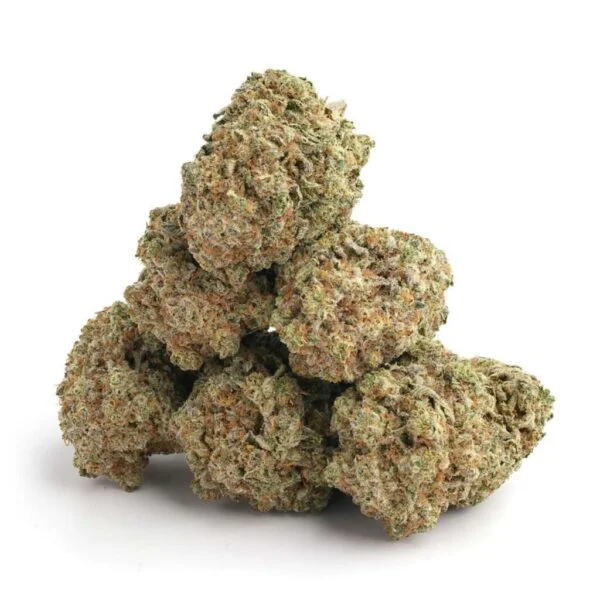 Colle Gorilla N° 4